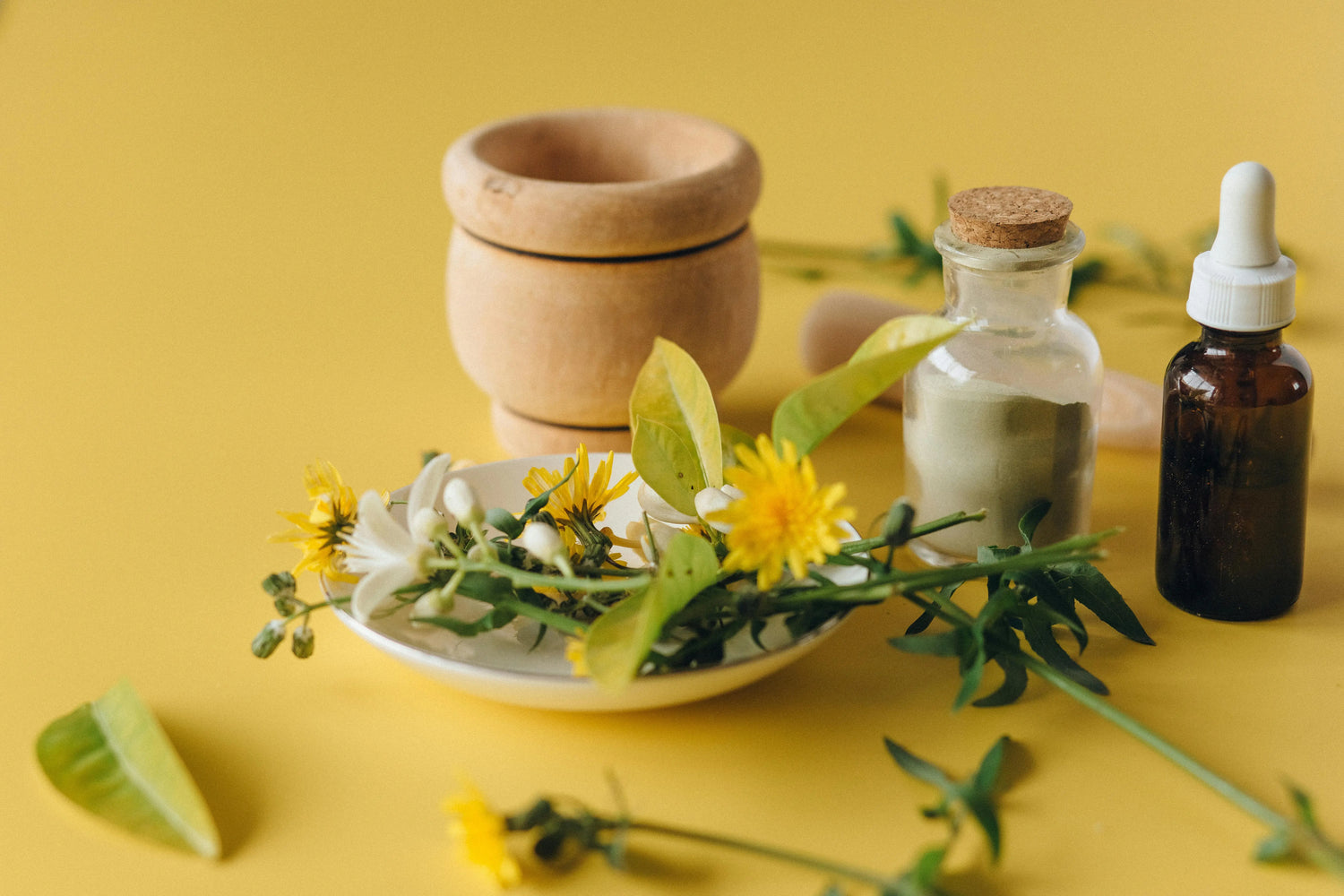 Article sur les Novel Foods, expliqué par la marque de compléments alimentaires naturels KANSHA