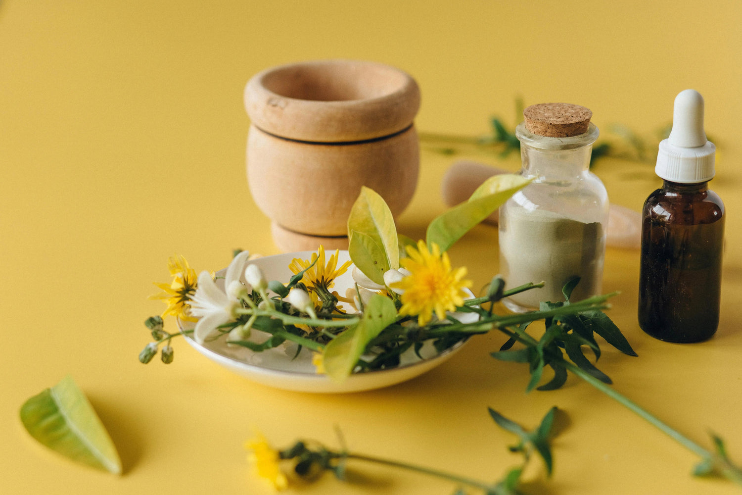 Article sur les Novel Foods, expliqué par la marque de compléments alimentaires naturels KANSHA