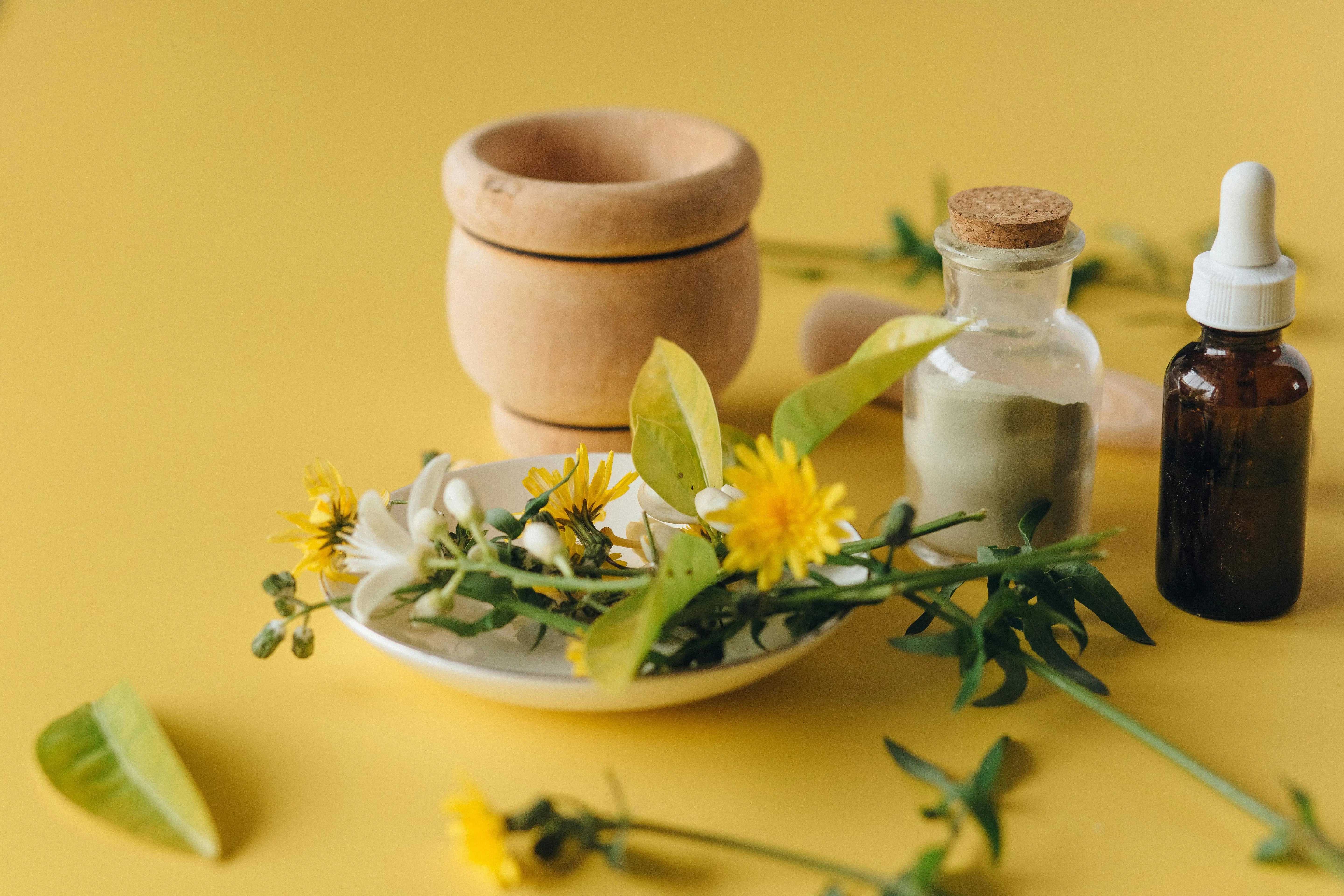 Article sur les Novel Foods, expliqué par la marque de compléments alimentaires naturels KANSHA