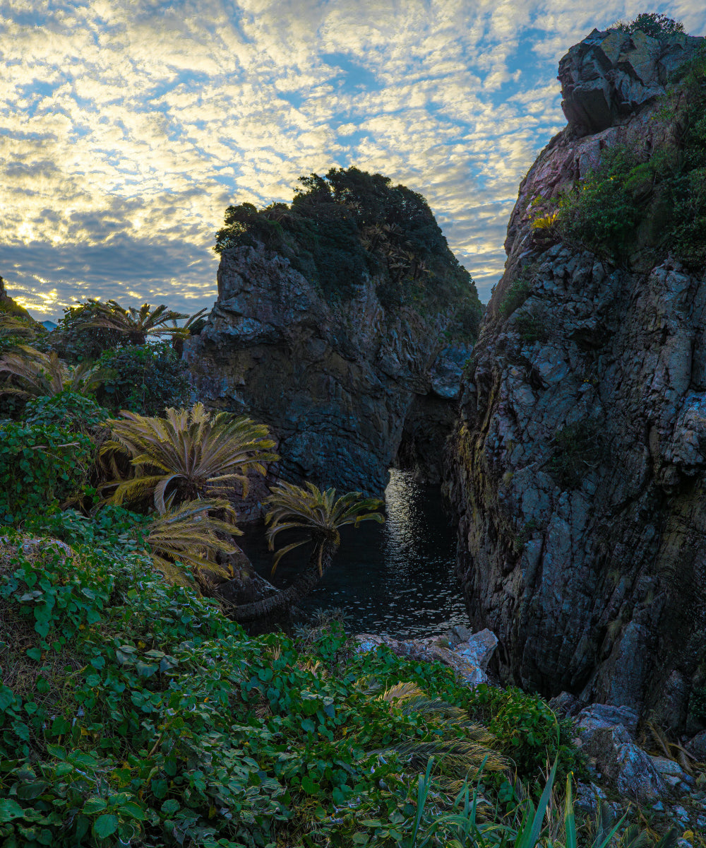 Région volcanique de Kagoshima au Japon – lieu de culture du thé vert bio KANSHA MATCHA, riche en antioxydants et en nutriments naturels